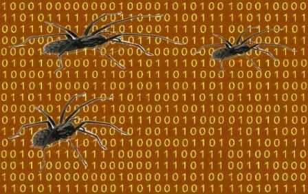 Binäre Optionen Spiders