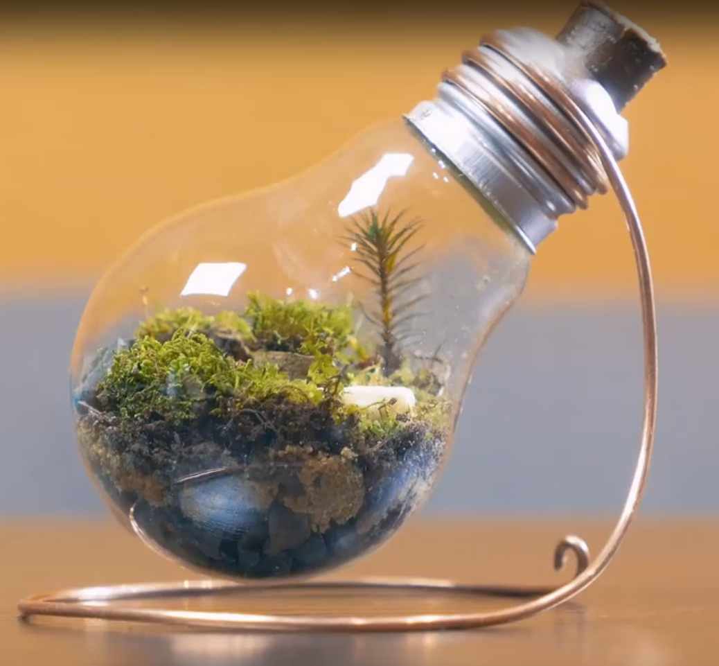 Idee Birne